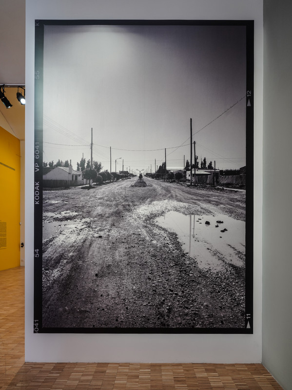 06b3 DSC05796 (FCR - Luci -20 - Chiar  50 - Corr) FL