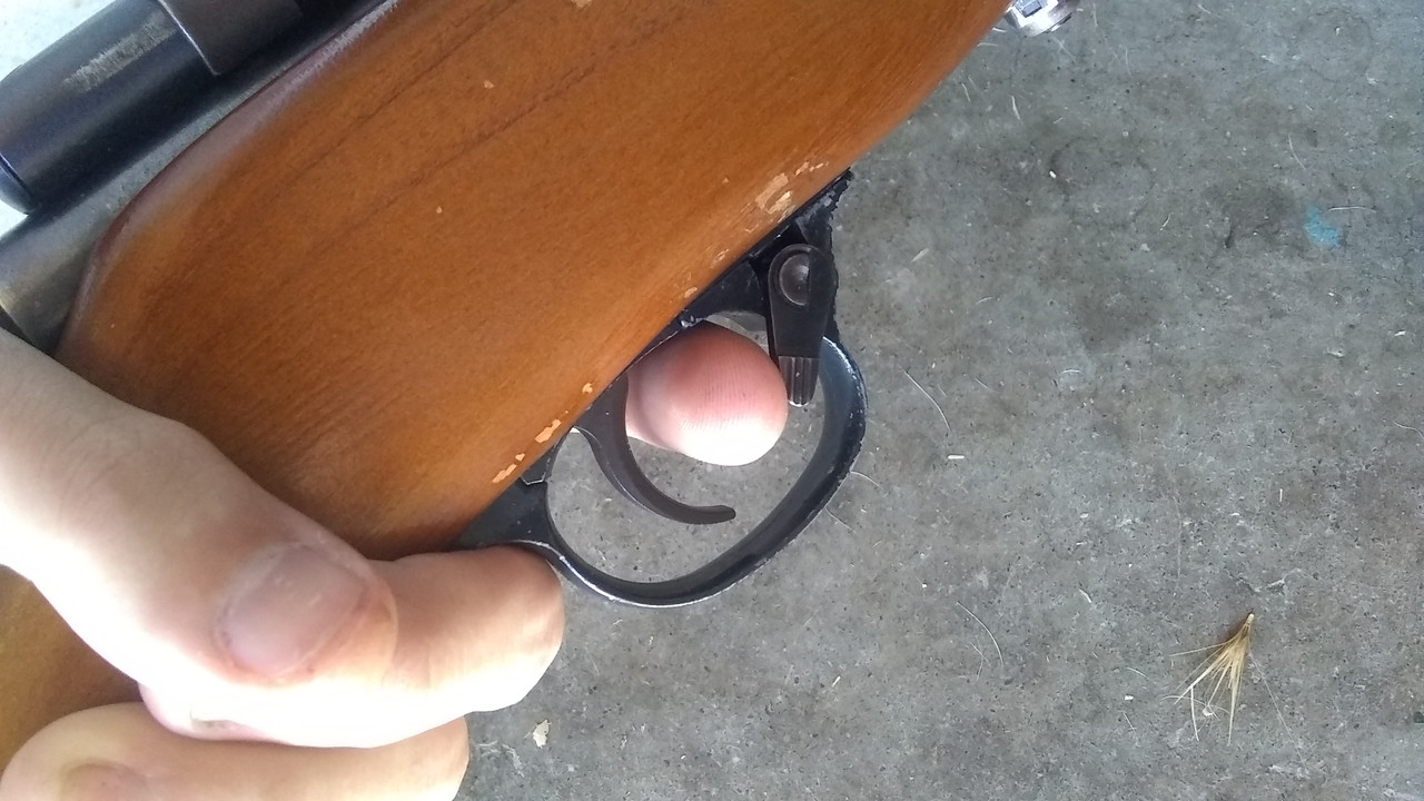 IMG_20190804_160706954