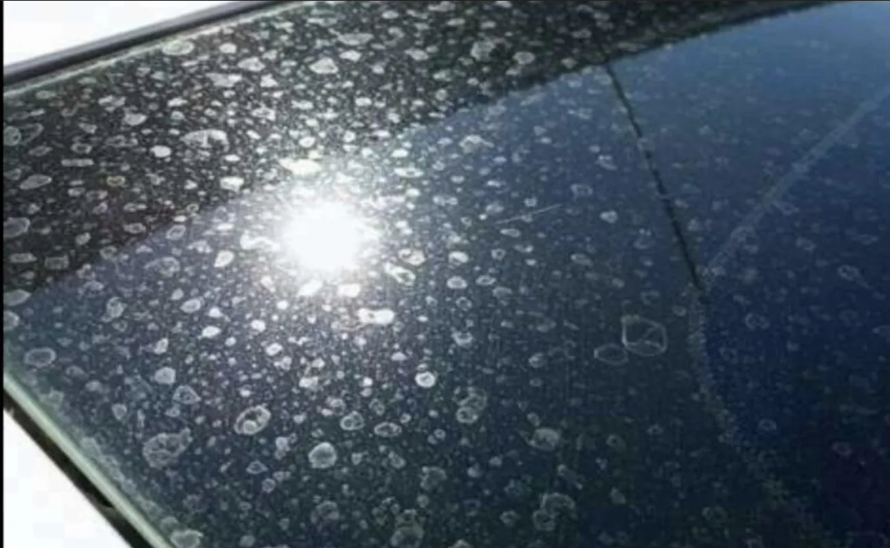 Elimina fácilmente las manchas de agua del parabrisas y ventanas de tu auto