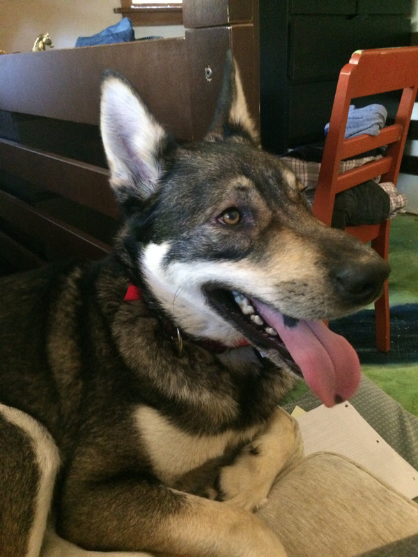 9B45E26F-FB8C-46F1-A0FA-154C456772B4