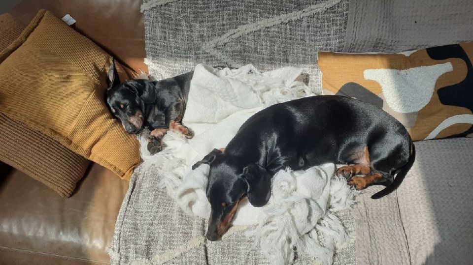 [Image: Resized-20230419-132630-1.jpg]