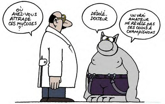 [MARDI] - Le Chat - Page 9 2018-11-01-lc-01