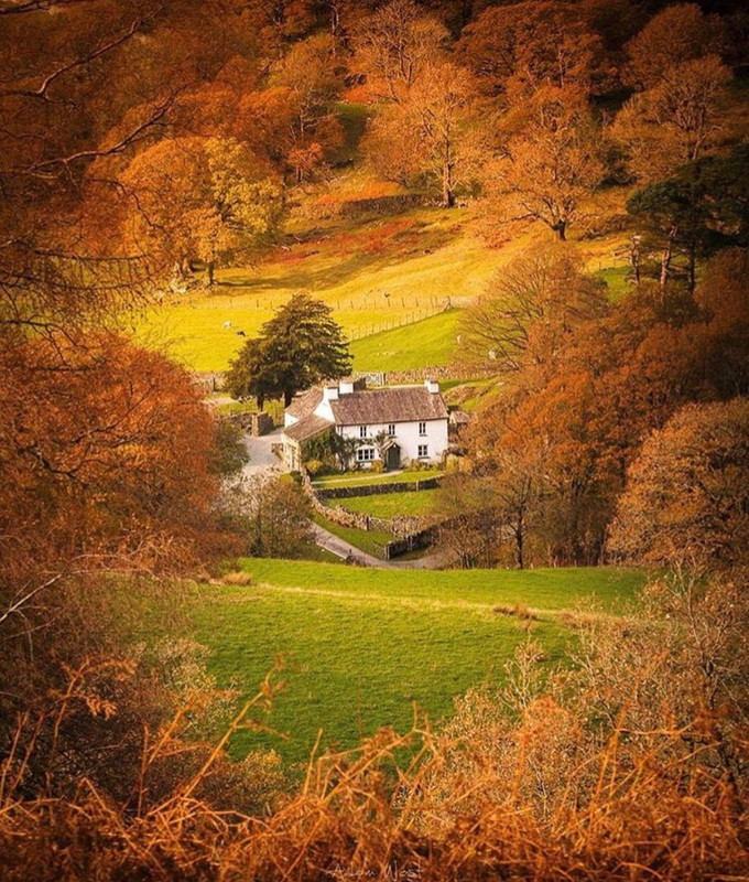 Screenshot_20231112_204350_Instagram