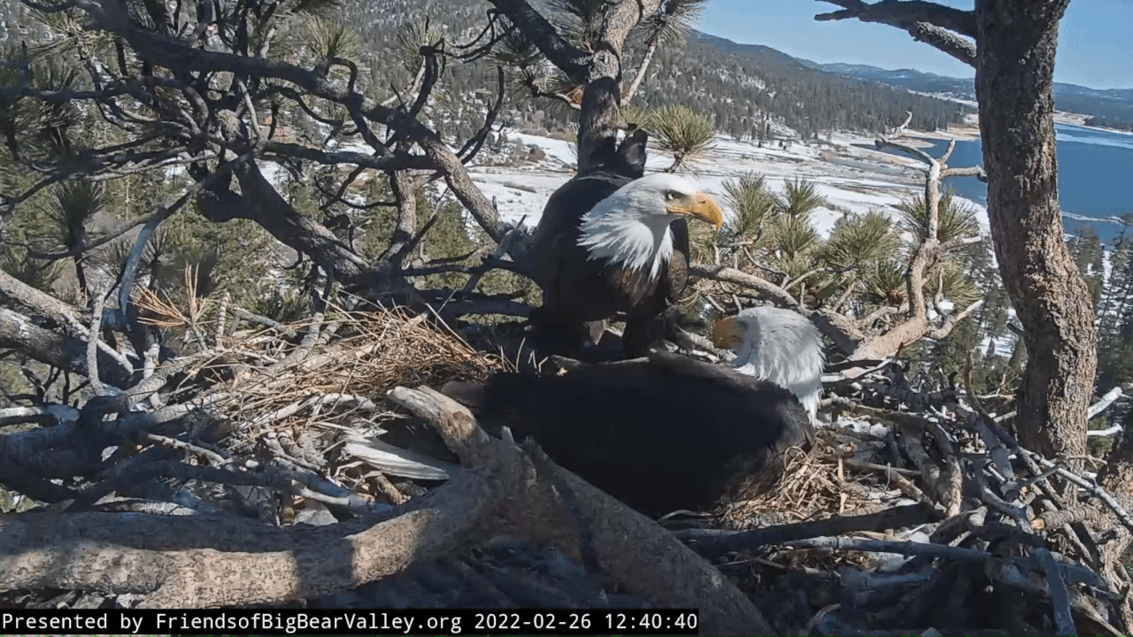 Webp.net-gifmaker (5)