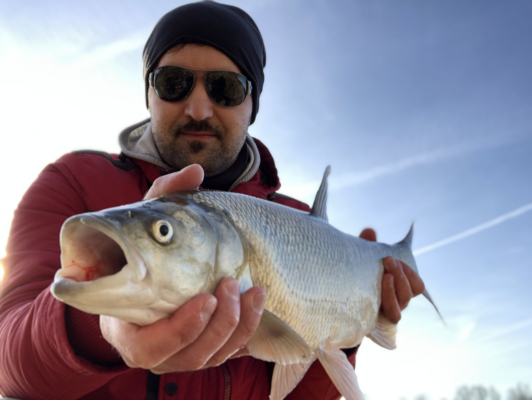 142FCD69-4EA5-41CD-82E8-902EE9898081