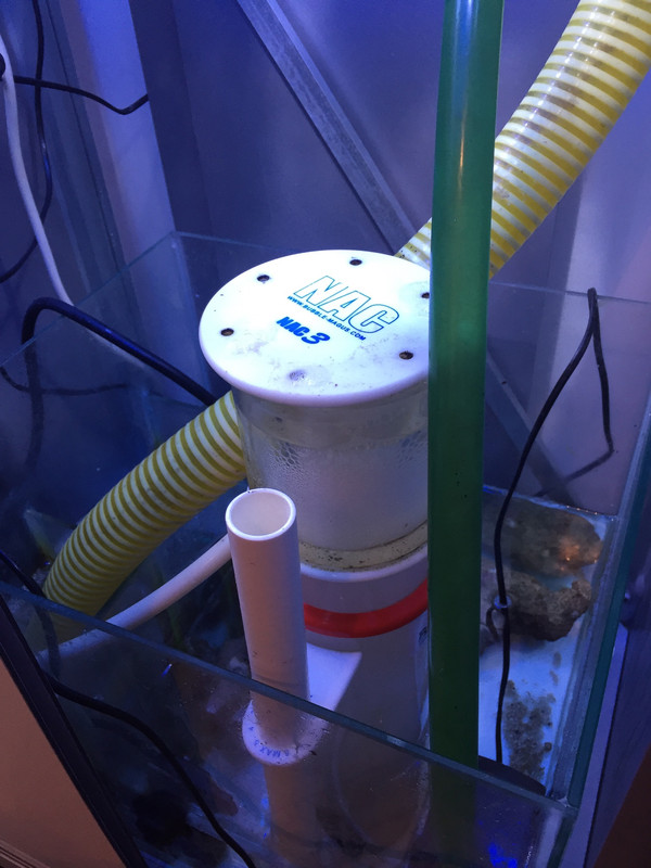 8B461A50-D05D-4F83-8CD2-C77F779BD4C1