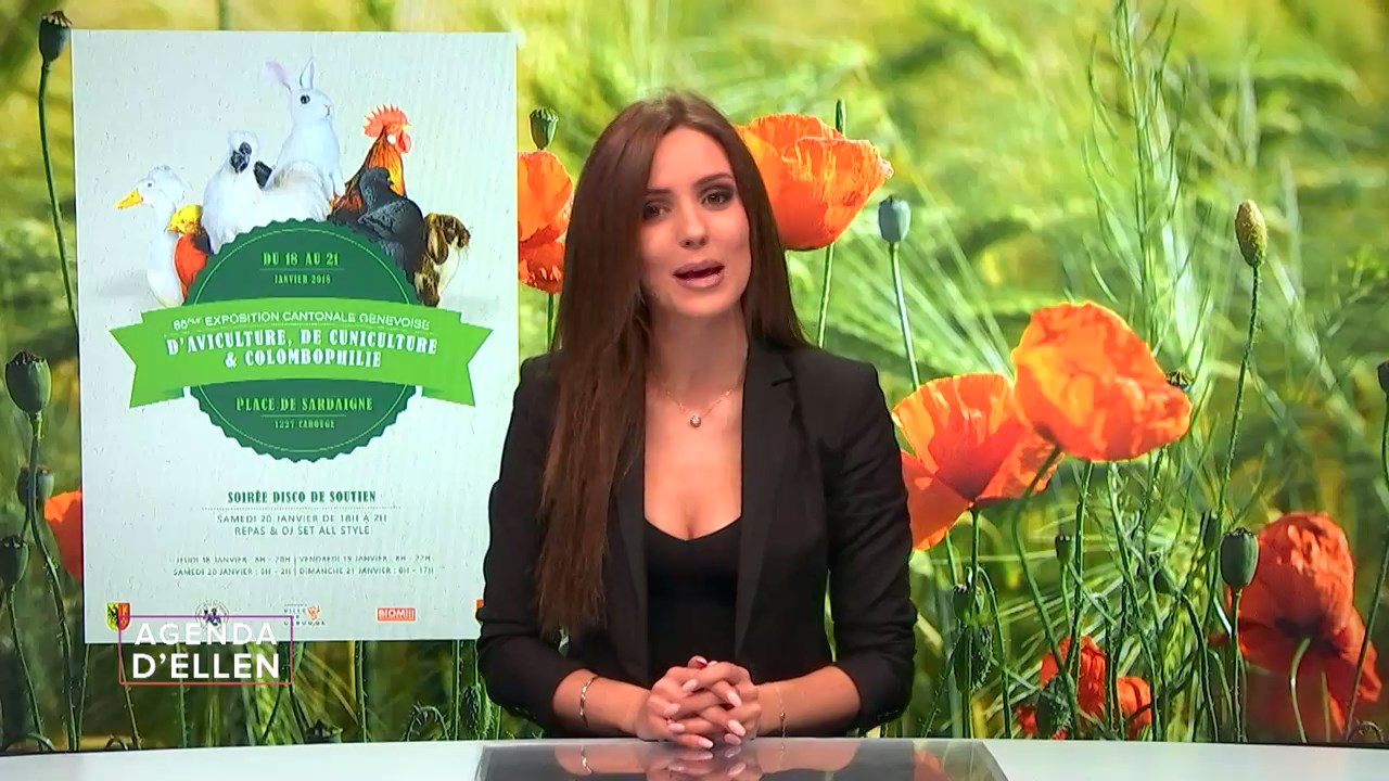 ellen 180118.mp4_snapshot_01.41_[2018.01.21_17.08.09]