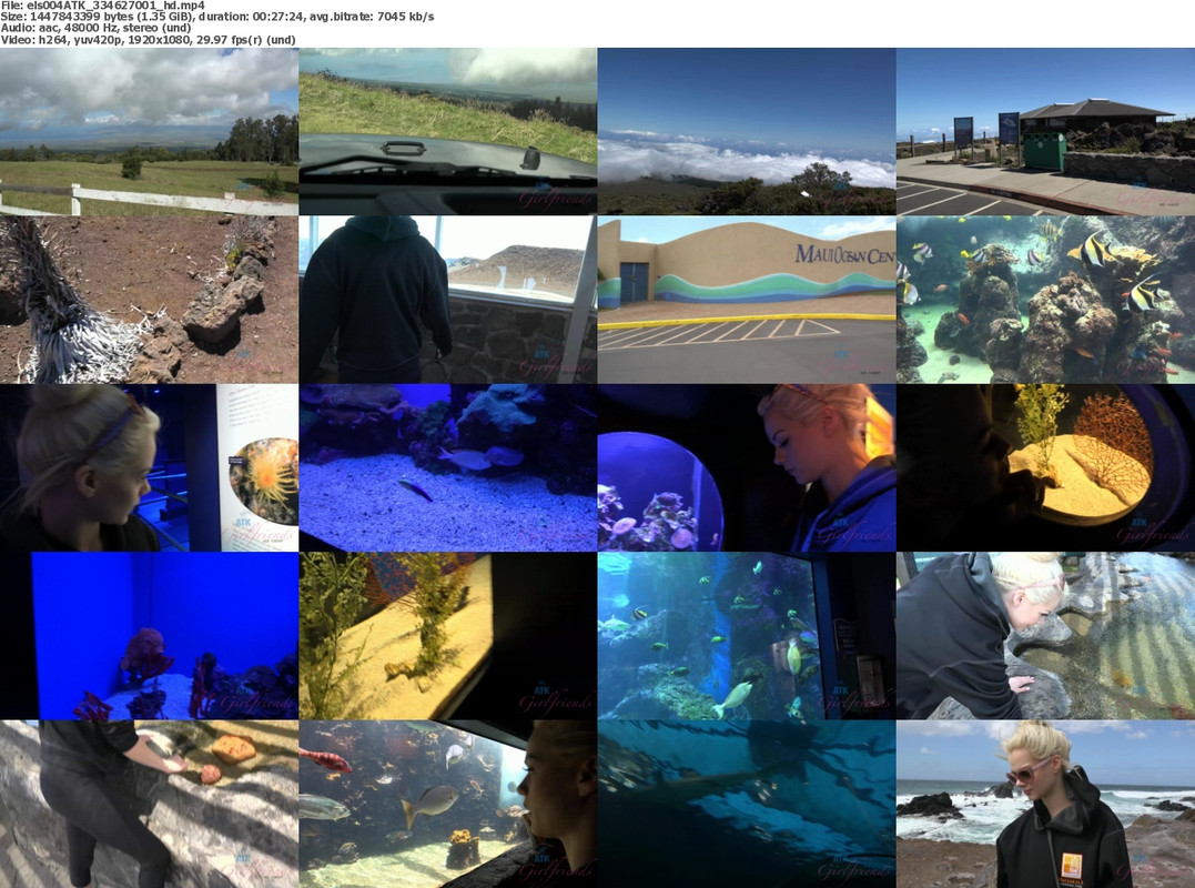 27082024144905screenshot