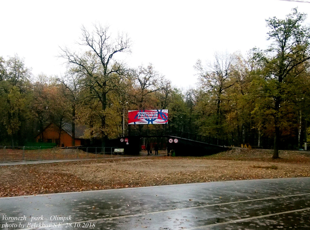 Воронеж, осень, парк