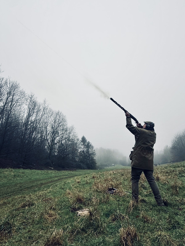 688aa64d 1da8 4d0a b3fd 19d445d41e57