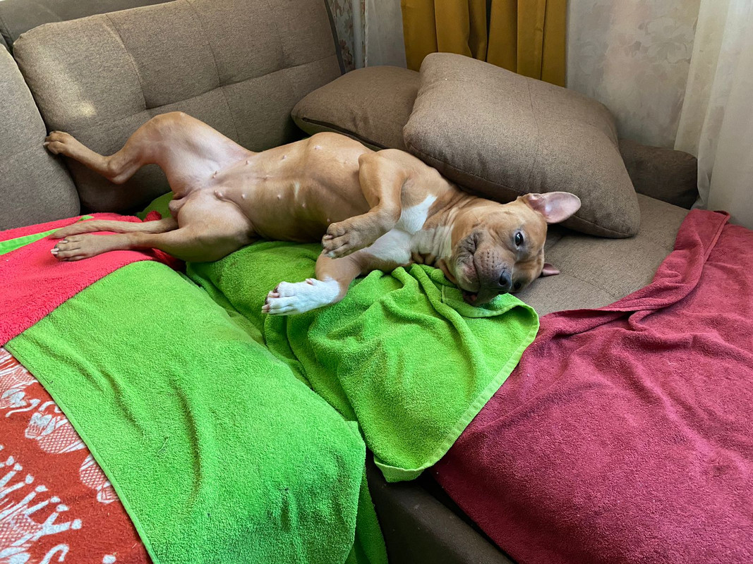 5D44B5DD-AE30-44FF-A2E4-4967FA5A9965