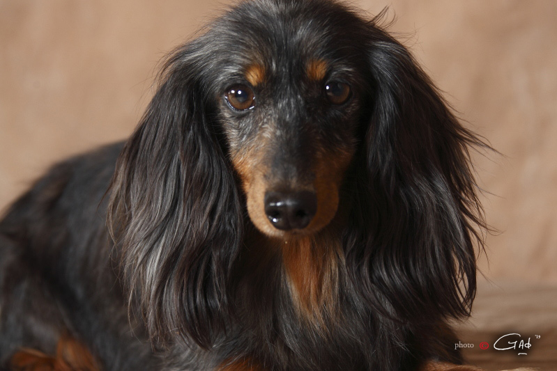 [Image: 526-tecksd-div19.jpg]