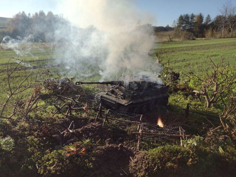 IMG_20241024_153830860_BURST010