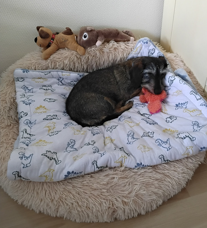 [Image: 20250516-144630.jpg]