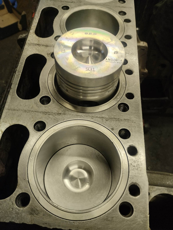 329213517_1237779520156458_4512614466536525551_n (1)