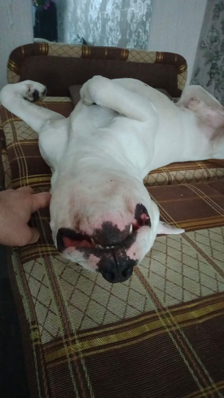 F48C2B03-1571-4017-A9B8-AEAC43750FEC