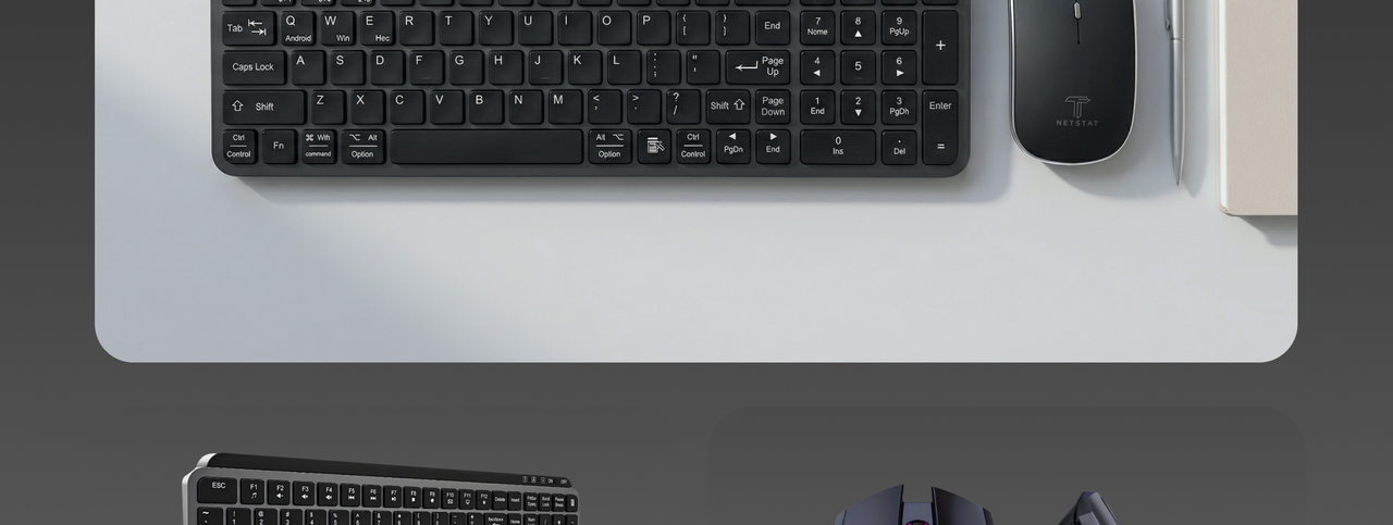 Mouse Wireless NETSTAT - portabilitate