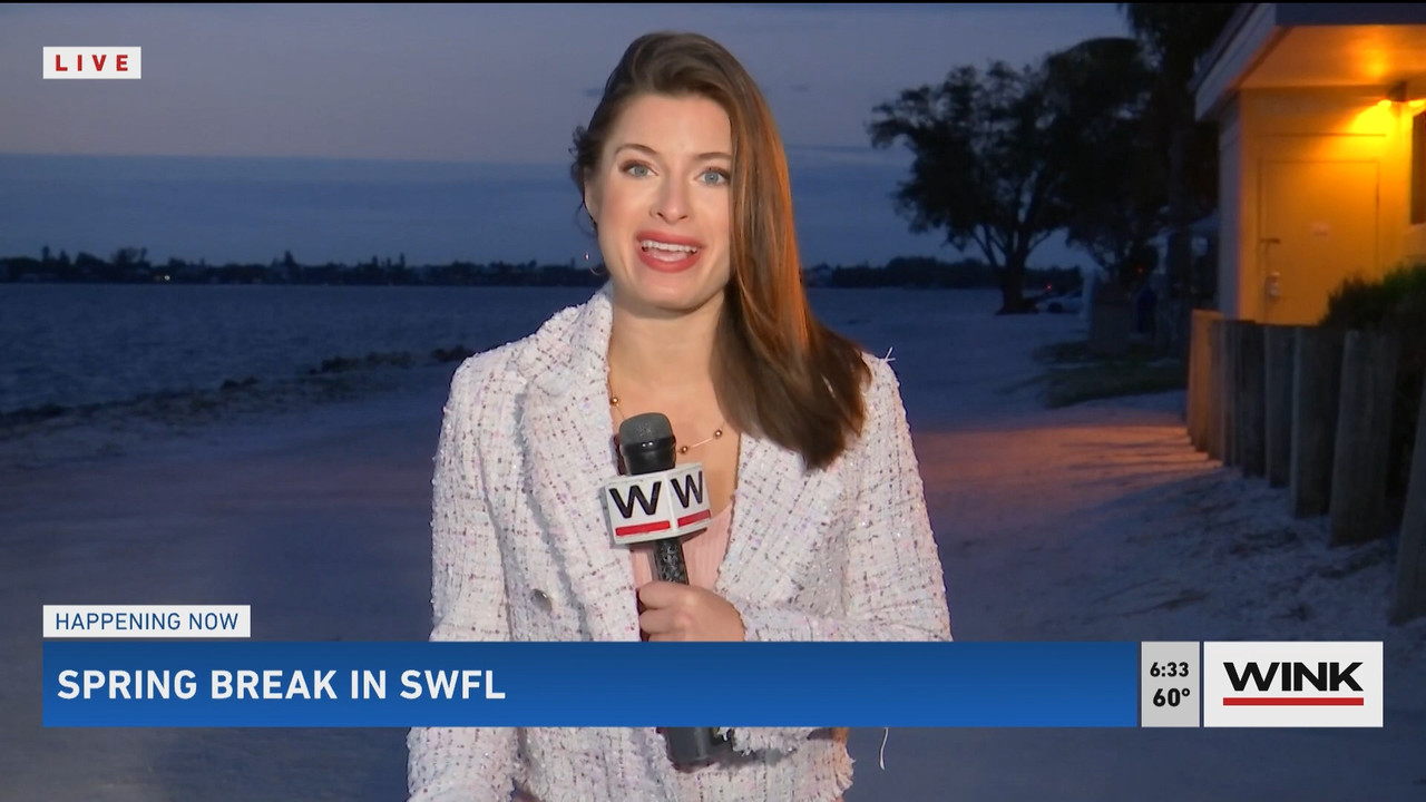 03.06 - 11.00.00 - WINK News @ 6 00am..ts_snapshot_00.33.11.287