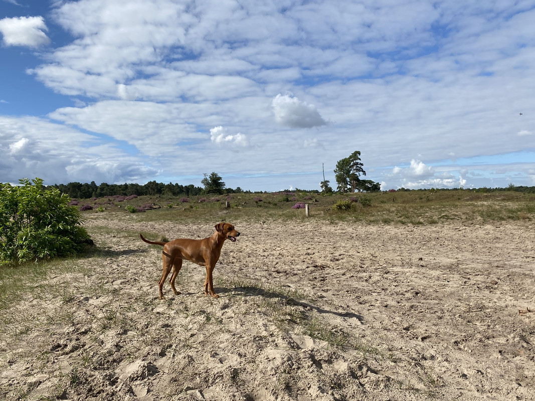 6E8F2556-4EA2-4B01-93F3-76A1C95A9F1F