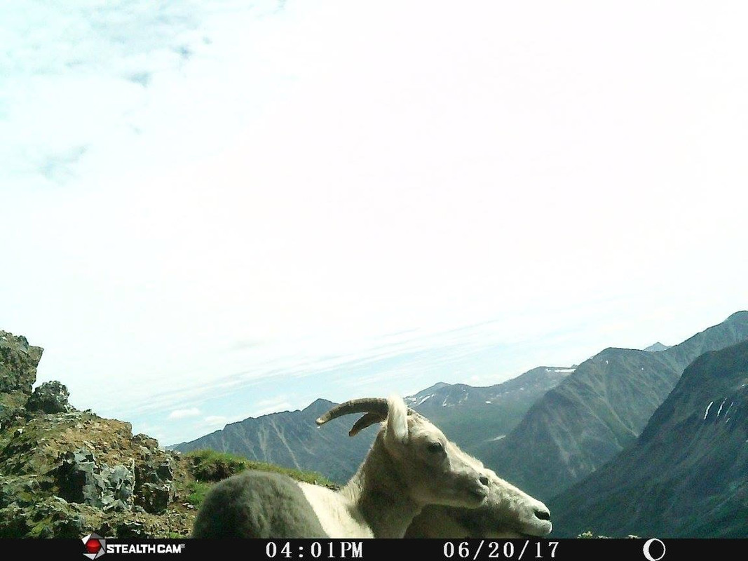 329E7B13-49E5-4D00-9447-C64513180892