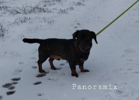 [Image: 20210211-074648.jpg]