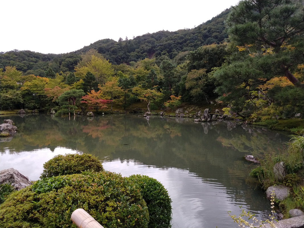 LUNES 10 KYOTO - Kinkaku-ji - Ryoan-ji. - Tenryu-ji - Bosque de bambú. - JAPON. UNA GRAN AVENTURA , SIN ENAMORAMIENTO FINAL (2)