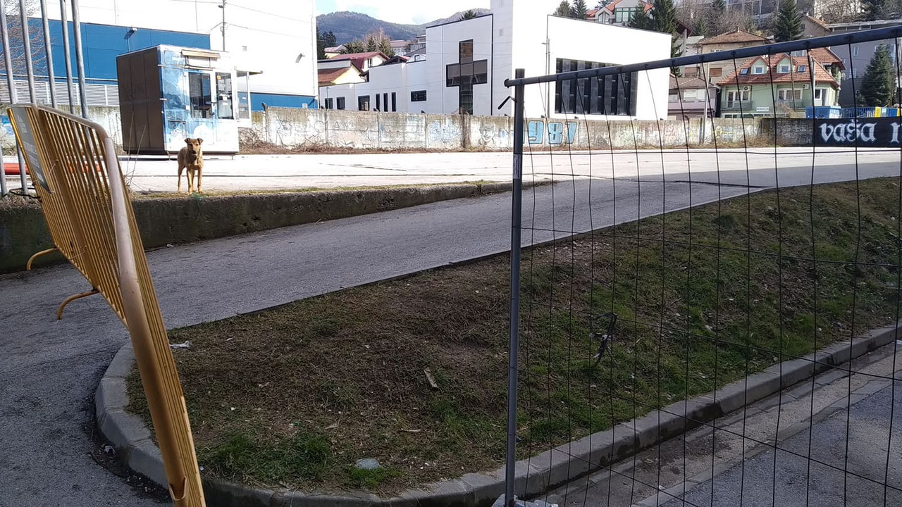slika