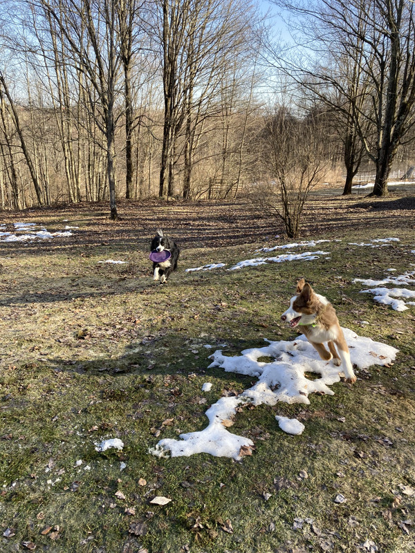 63813971679--18F36917-D1F3-456B-A9C0-31B939204EC5