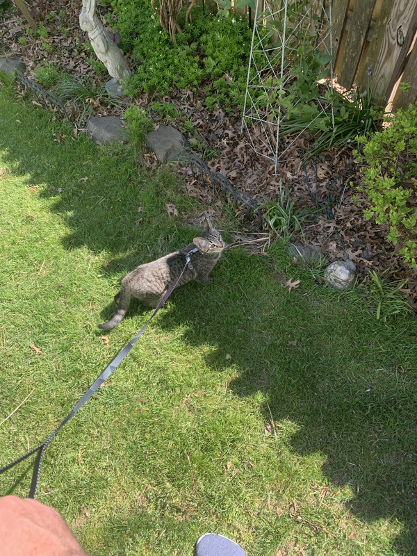 AC6D8ADA-8B4D-43E4-9416-63F22B60E6E8