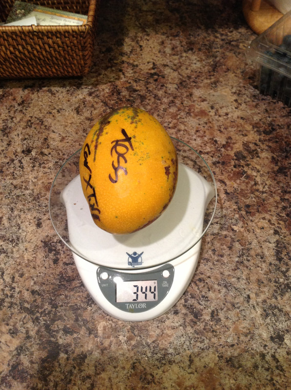 0f94b9ecd4e3a3627596b8204032f2e6