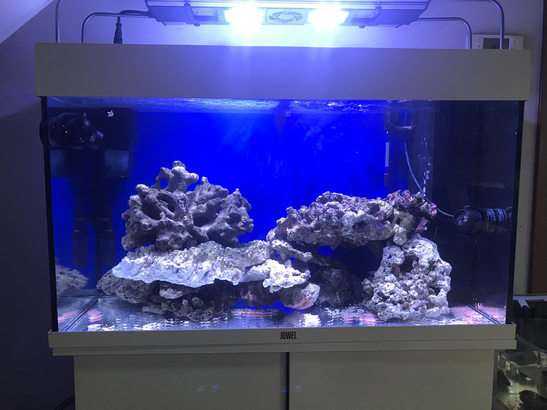 C29EDA87-05BD-450D-A986-3E0B3903A707