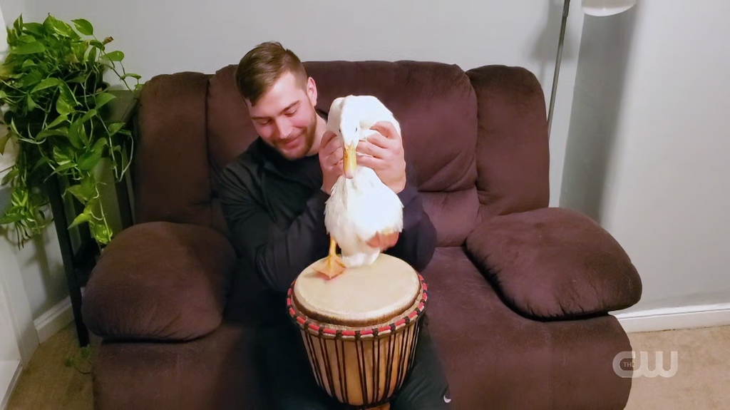 [Image: 5j2tdh4e6hwr.png]