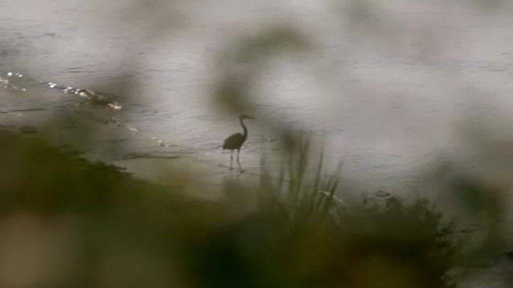 [Image: 8yuiq4t9fh0a.jpg]