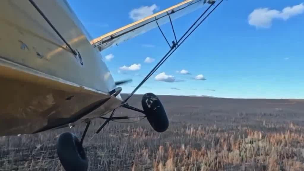 [Image: m4tiq38oqk3s.jpg]