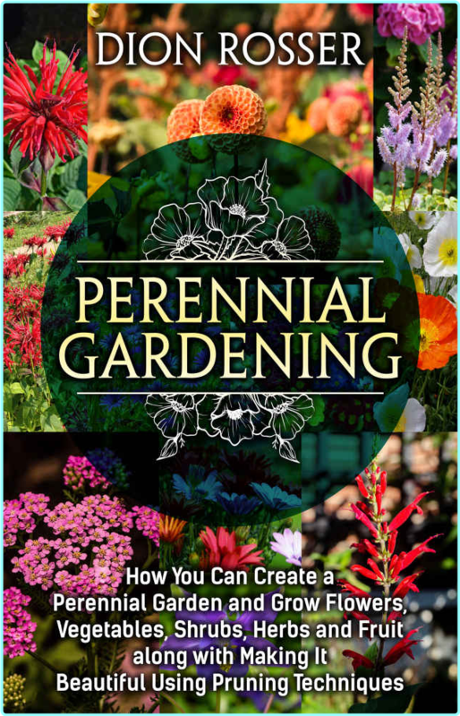 [Kép: 78mh4qubhpq5.png]