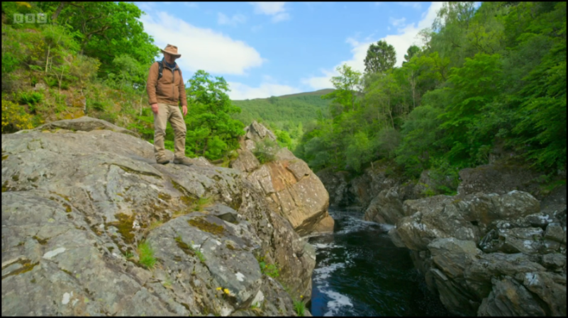 [Image: qv05yd2hlr8x.png]