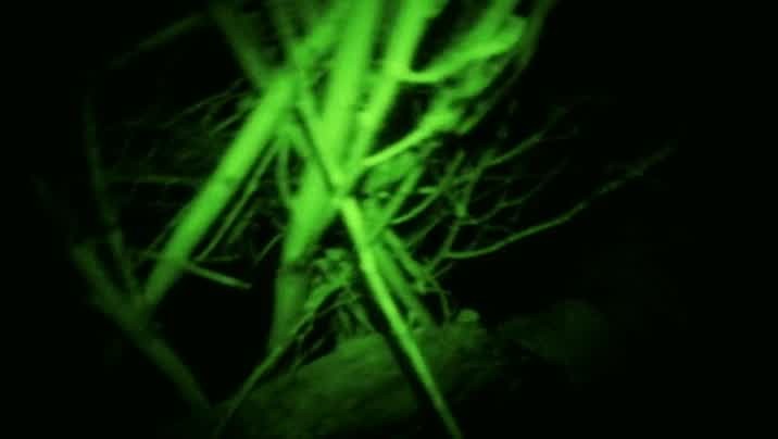 [Image: zi1dew1g5kg4.jpg]