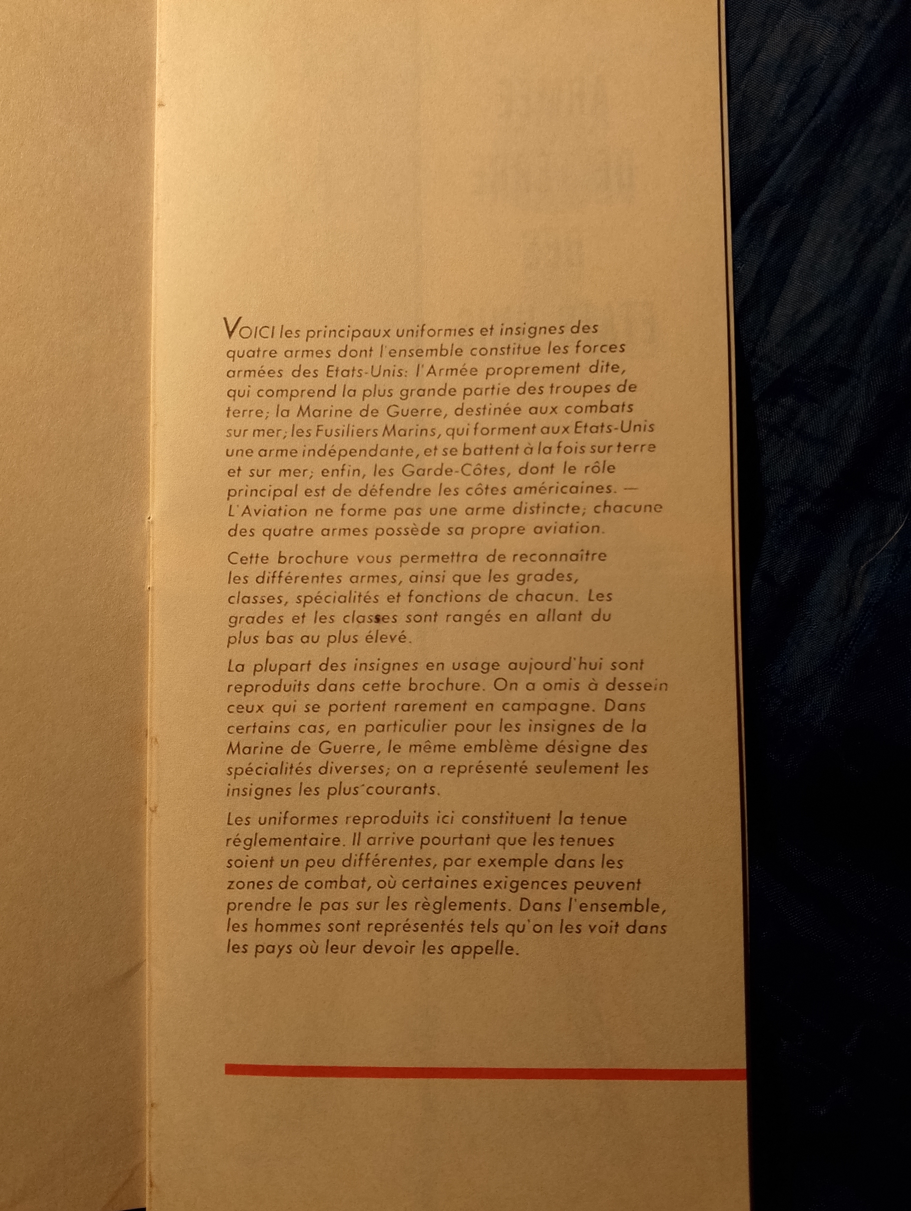 IMG-20250205-192234-184.jpg