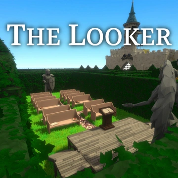 The Looker box art