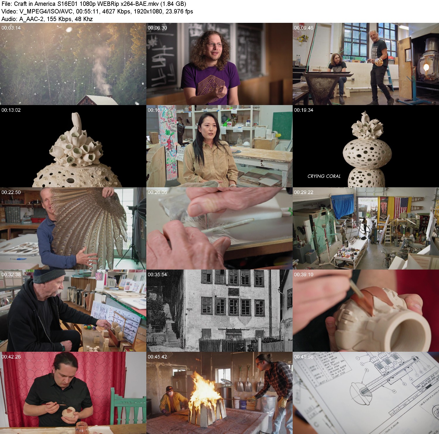 [Image: 6iu1bhsp8w6h.jpg]