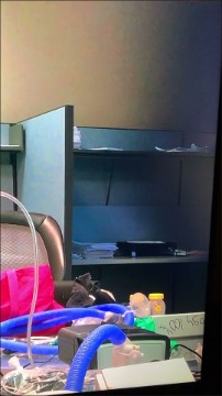 [Image: Voyeur40765132144.jpg]