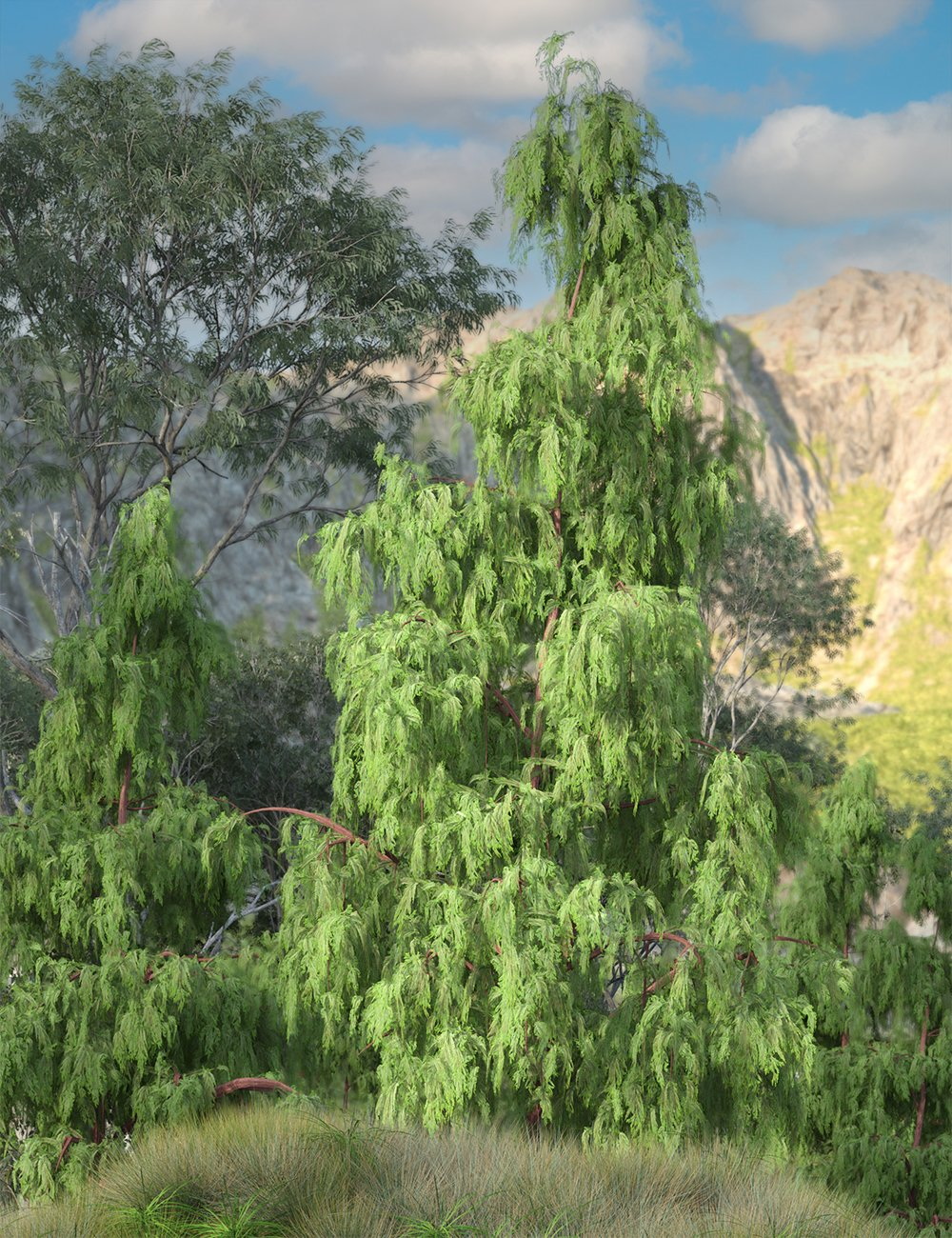 X