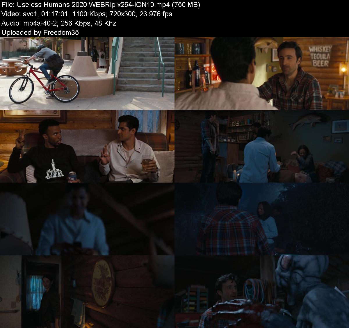 Useless-Humans-2020-WEBRip-x264-ION10.jp