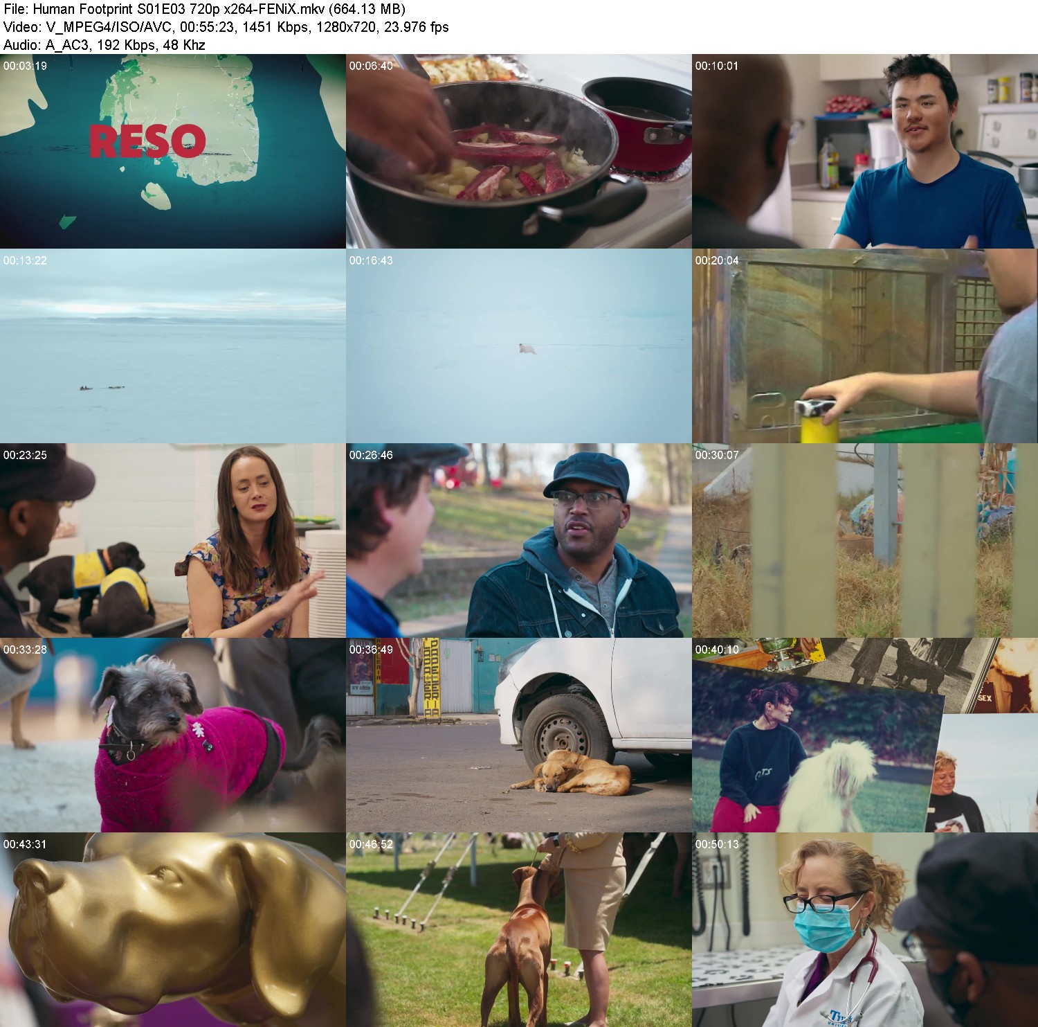 [Image: 709zd9zrbkfj.jpg]