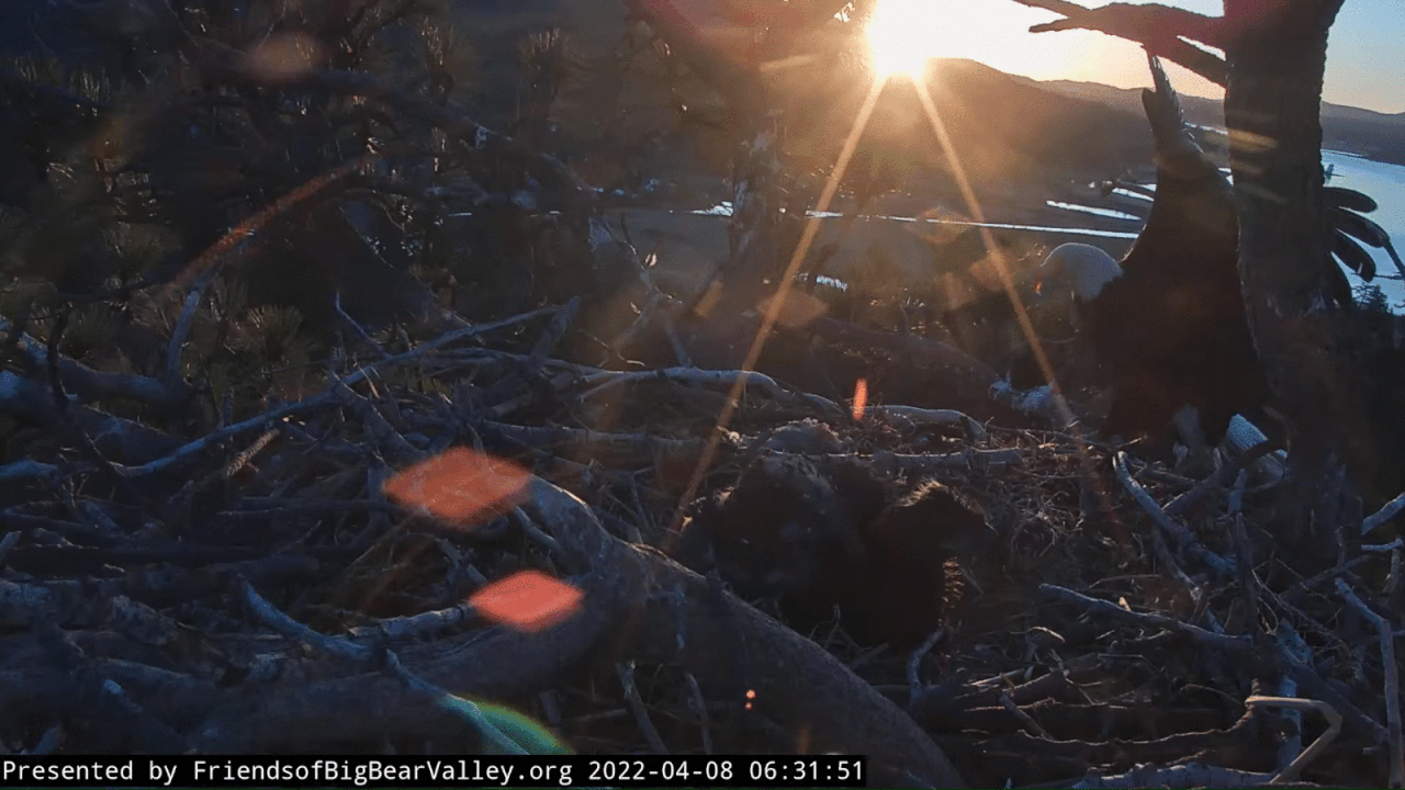 Webp.net-gifmaker (3)