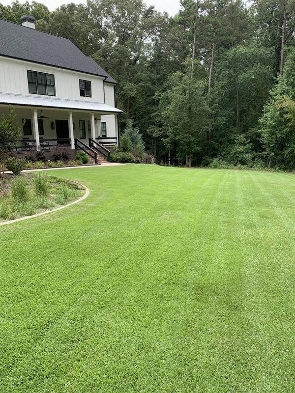 Why is my grass yellowish brown after mowing? Lawn Care Forum