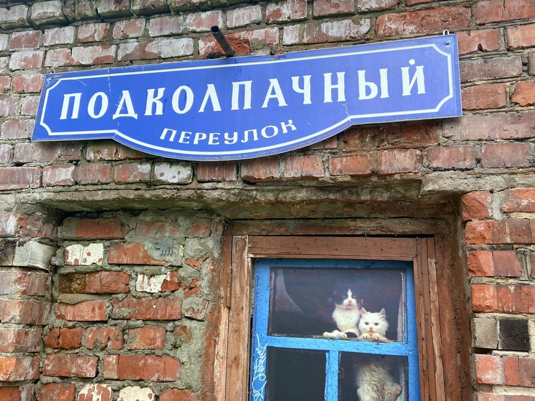 Это фото мне прислали Это фото мне прислали