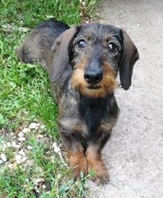 [Image: CARESSE-006.jpg]