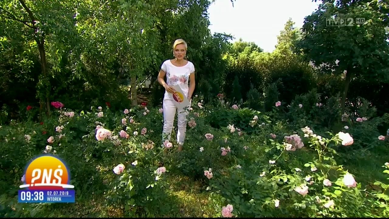 V0323_20190708_160125.mp4_snapshot_04.50_[2019.07.11_00.19.05]