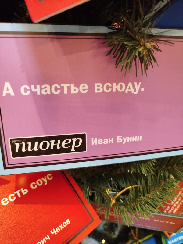 Ладья и Предновогодняя Москва 2025 114